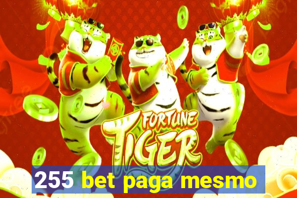 255 bet paga mesmo